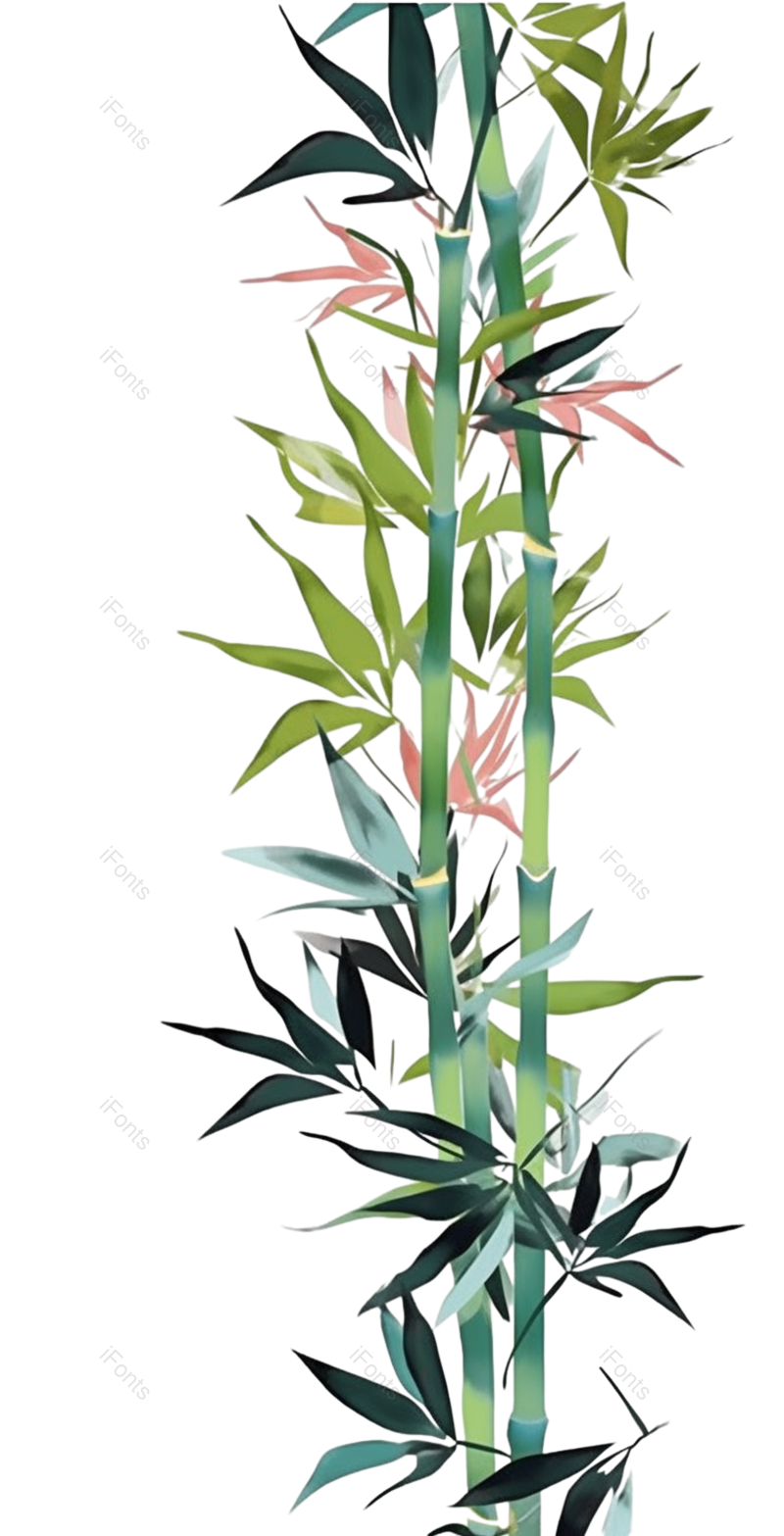 叶子图片,边框元素,纹理PNG,插画免抠素材